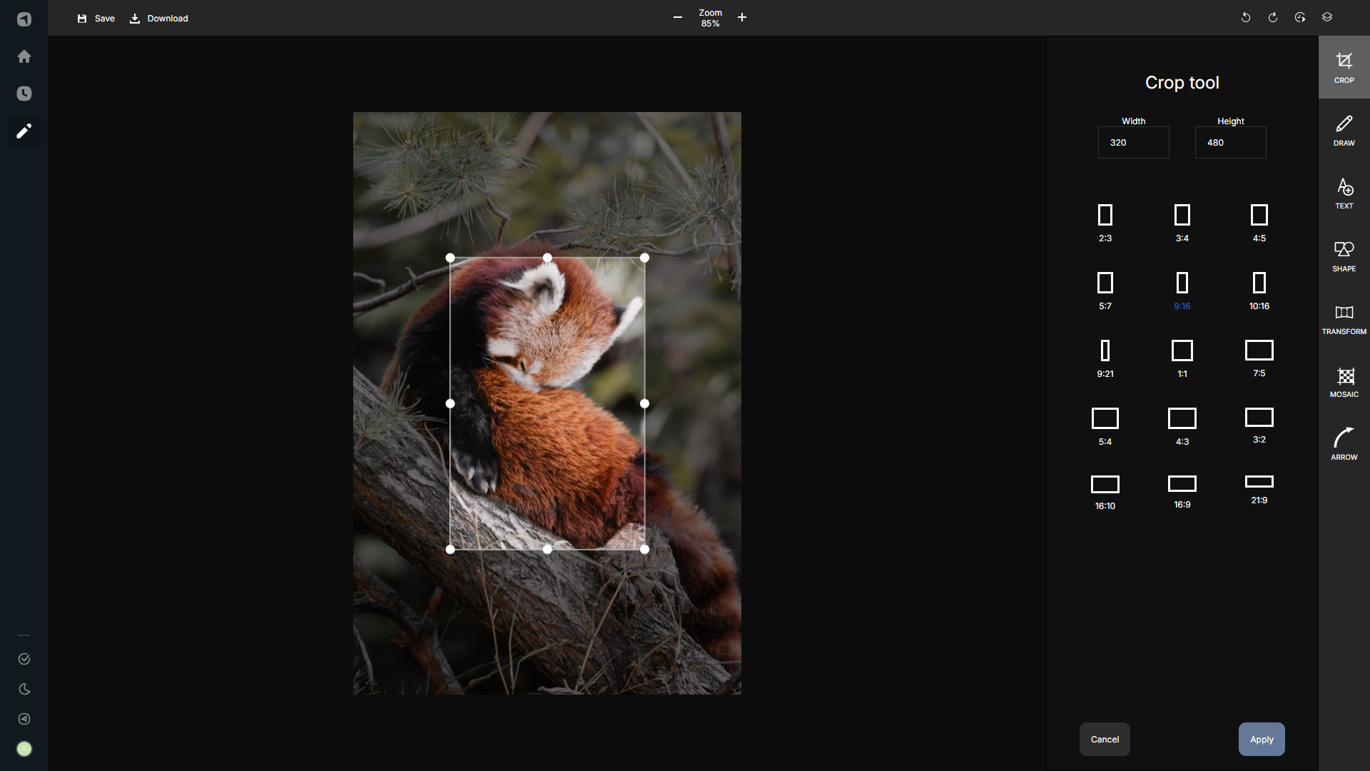 Ảnh minh họa tính năng crop