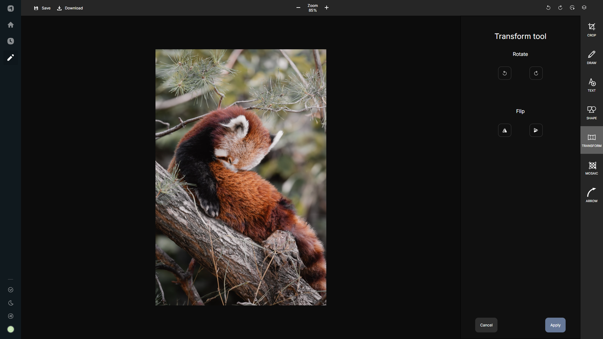 Ảnh minh họa tính năng transform